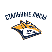 Логотип команды - Стальные Лисы