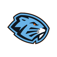 Логотип команды - Динамо-Шинник